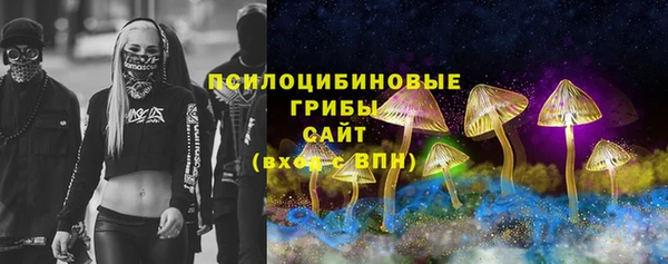 твердый Абинск