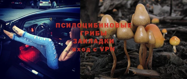 амф Абаза