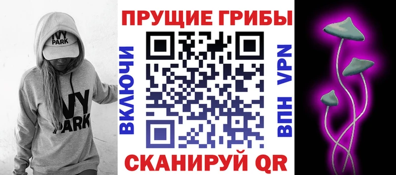 Псилоцибиновые грибы Magic Shrooms Пыталово